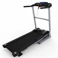 Беговая дорожка DFC REKORD T190